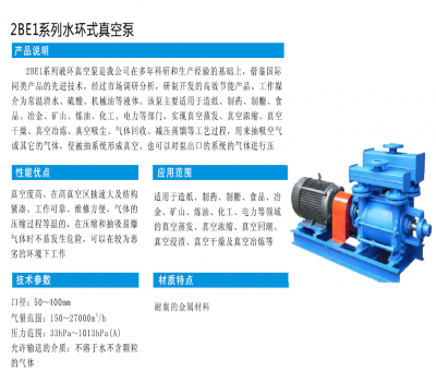 2BE1系列水环式真空泵